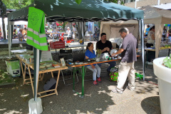 Der Stand